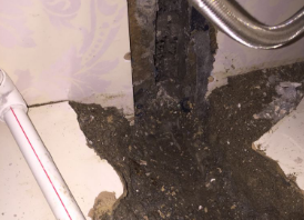 遵化卫生间测漏水哪家好