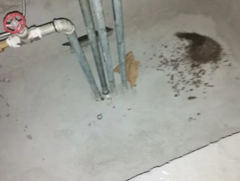 遵化卫生间测漏水价格明细